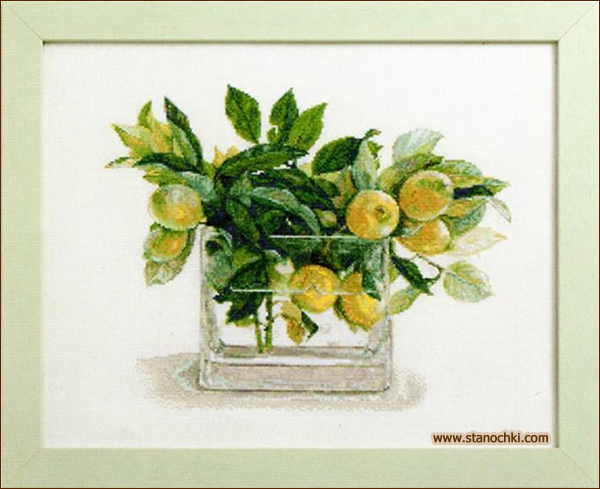 Fujico Collection 674 ����� ���� ��� ������� 674 ����� (Fujico Collection) (����)